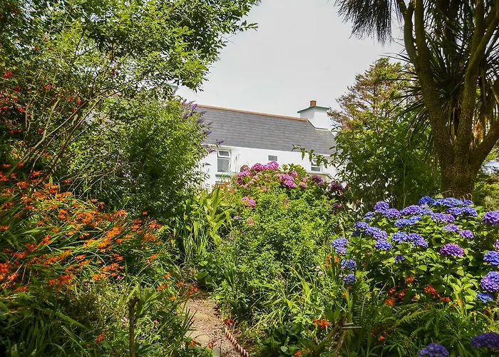 Fuschia Couette-café Gerahies