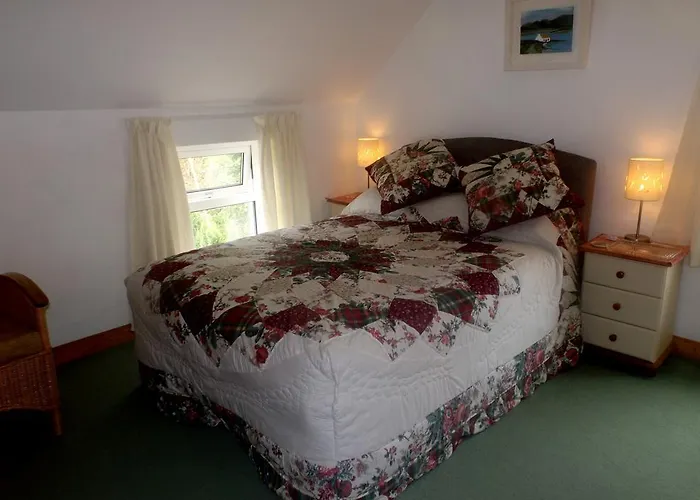 Fuschia Couette-café