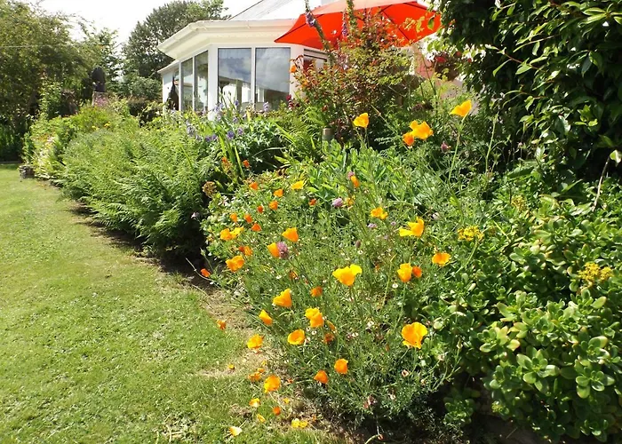 Couette-café Fuschia *